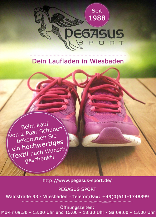 Bild zum Angebot: Pegasus Flyer - Sonderaktion.