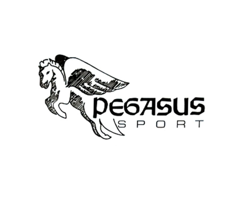 Retina-Logo (Impressum): Pegasus-Sport Laufladen